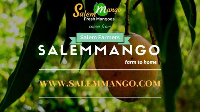 SalemMango Startup Story