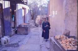 Samsa - Finding Samosa’s Distant Cousin in the Alleys of Leh