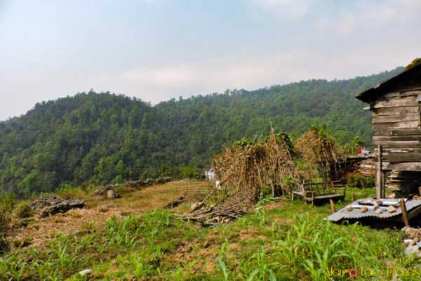 Samsing: A Less Explored Destination In India That You Should...