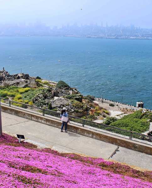 San Francisco | Best 5 Days Travel Itinerary - Ana