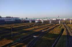 Sandakphu-Phalut Trek