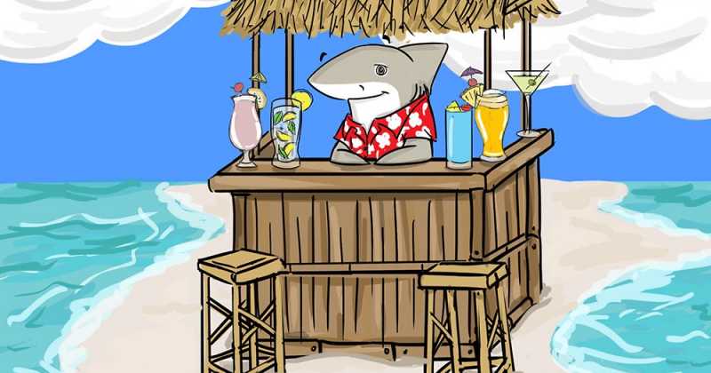 Sandbar Shark Appreciation Day!