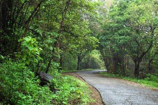 Sanjay Gandhi National Park - How To Go, Things To See, Places To Eat