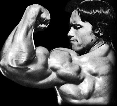Sanjeev Nanda Tips For Massive Arms