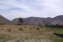 Sariska