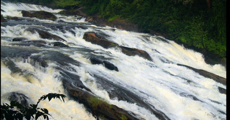 Saturday Photo Hunt - Speedy