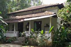 Saturday Story: Literati Bookshop & Café, Goa