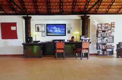 saturday story: musty books on a dusty bookshelf