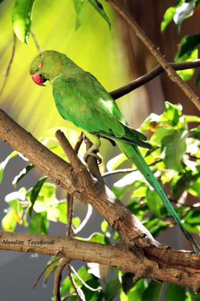 Saturday Afternoon Siesta