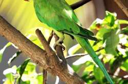 Saturday afternoon Siesta