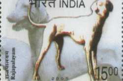 Save the Rajapalayam