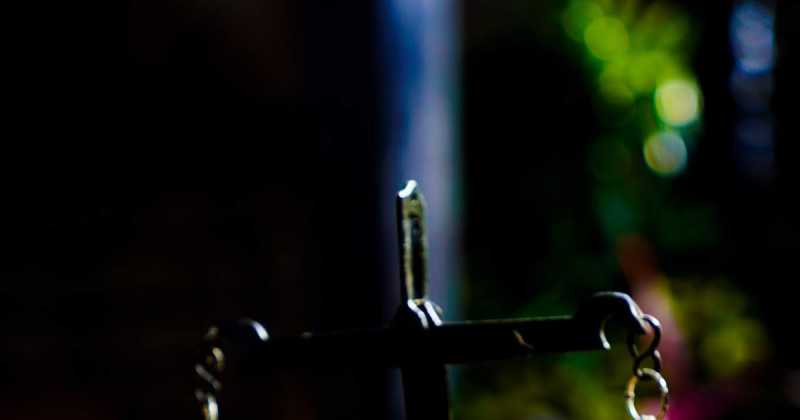 Savvy Home Parties With Social