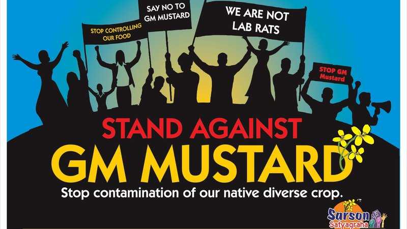 Say No To GM Mustard In India