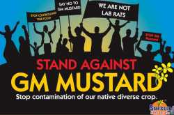 Say no to GM mustard in India