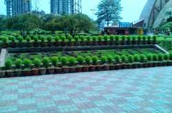 Science City The Most prominent Post Colonial land mark of Kolkata 