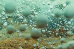 Scientists Discover a Boiling River - Amazonian Legend