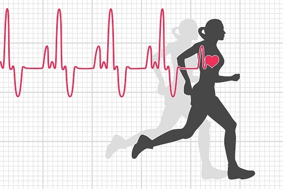 Scientists Found Out The Correlation Between Number Of Heartbeats And Mortality: Research