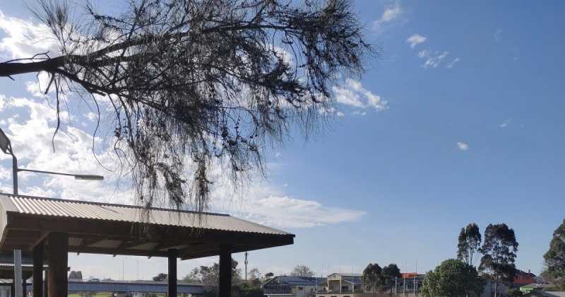 Scraps From My Journal (Part I): Tired