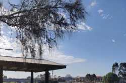 scraps from my journal (part i): tired