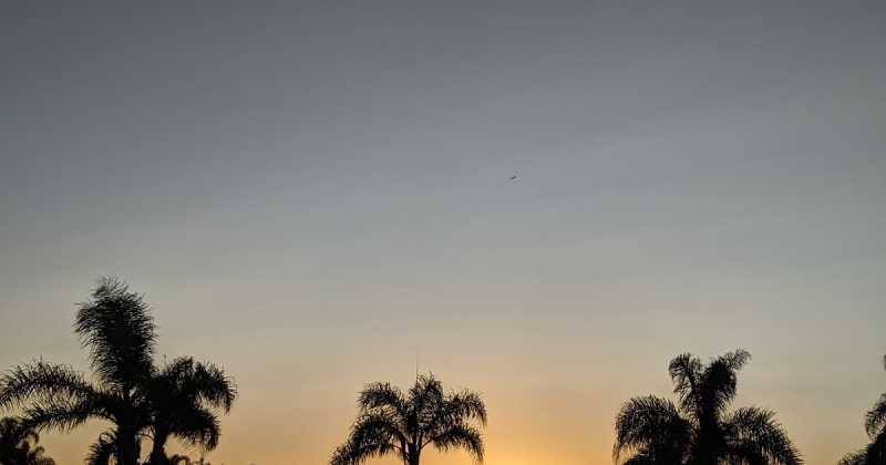 Screen Chat Or Live Talk? 