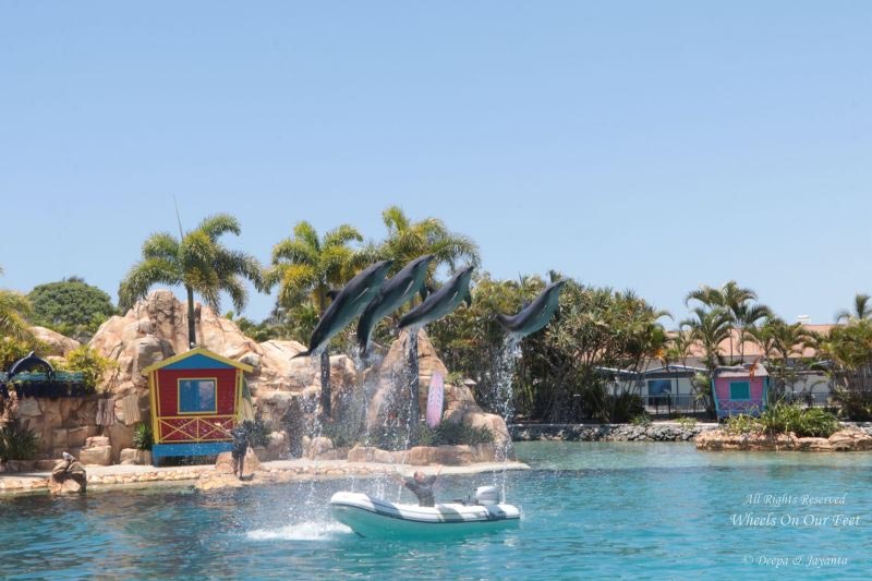 Sea World Tour In Gold Coast, Queensland (Australia)