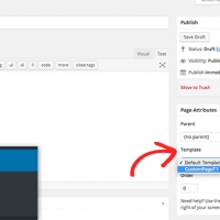 Secret Ways To Create Custom Home Page In WordPress |