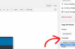 Secret Ways To Create Custom Home Page In WordPress |
