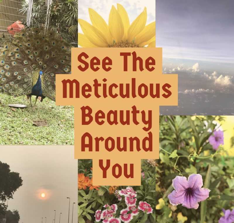 See The Meticulous Beauty Around You
