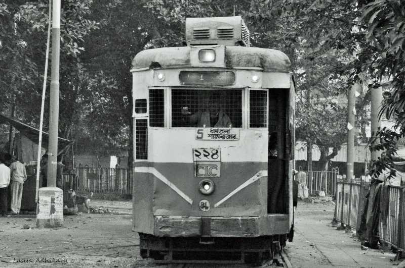 See Through My Lens..