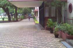 See you later ... Alligator..