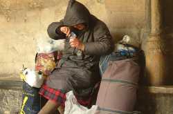 Seeking Desperate Refuge!