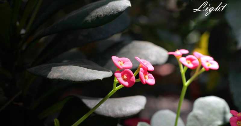 Seeking Light In The Darkness