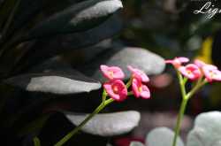 Seeking Light in the Darkness