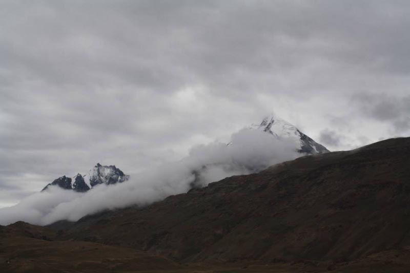 Seeking Solace Beyond The Wilderness