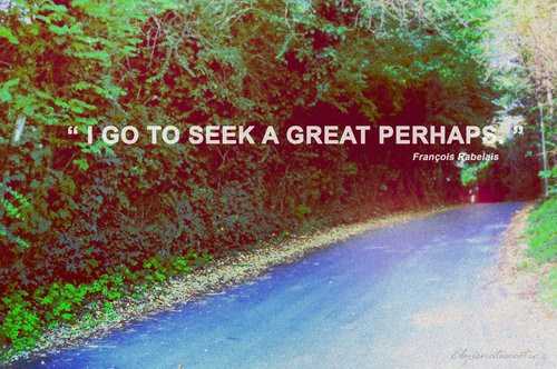 Seeking The Great "Perhaps"