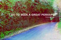 Seeking the Great "Perhaps"
