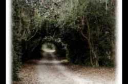 Seene Mein Jalan, Marks of Woe