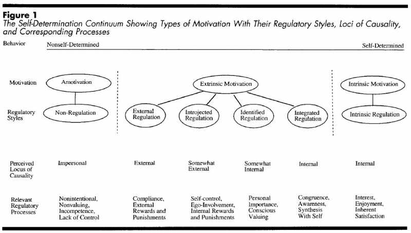 Self Determination Theory And My Writing Journey