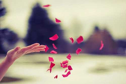 Selfie Saturdays #16