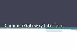 Seminar Topic: Common Gateway Interface