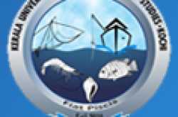Senior Research Fellow in Kerala University of Fisheries and Ocean Studies (KUFOS)