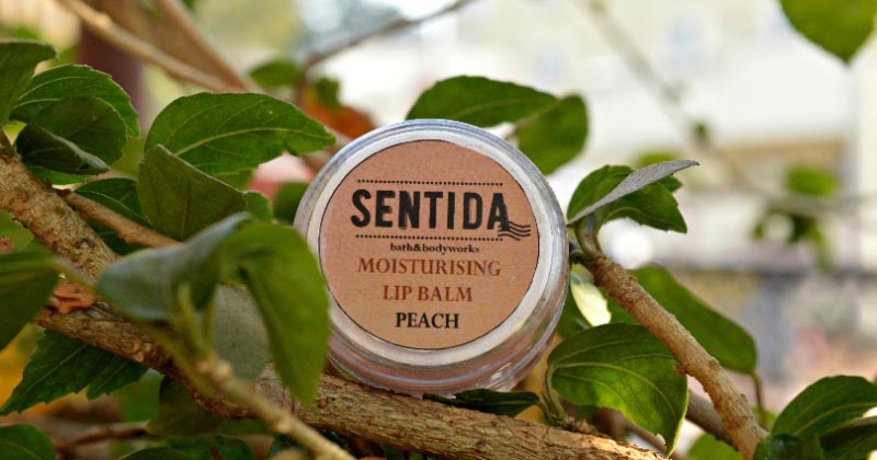 Sentida Bath & Body Works Moisturizing Lip Balm Peach Review!!!