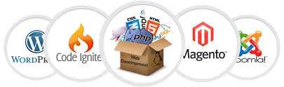 Seoraisers - Best Web Development Company In Chandigarh