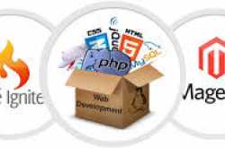 Seoraisers - Best Web Development Company in Chandigarh