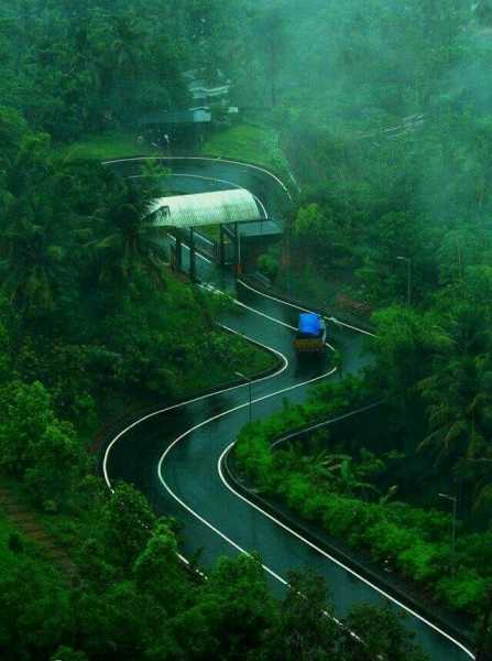 Seven Must-visit Places In Munnar, Kerala