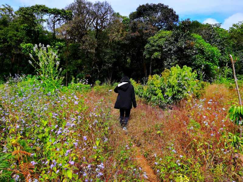 Seven Sustainable Travel Tips To Be A Responsible Traveller