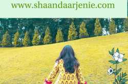 ShaandaarJenie.com
