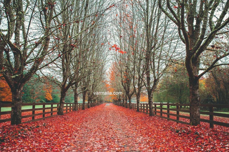 Shades Of Fall!   #Seattle