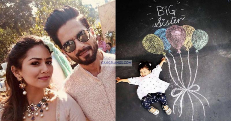 Shahid Kapoor And Mira Rajput Expecting Their Second Child.