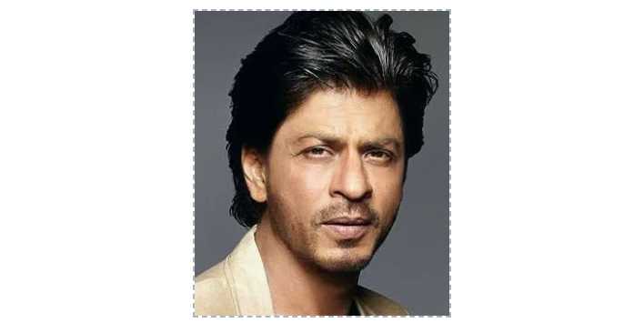 Shahrukh Khan Net Worth In Rupees